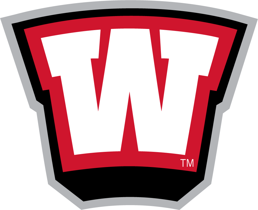 Western Kentucky Hilltoppers 2001-2006 Wordmark Logo diy DTF decal sticker